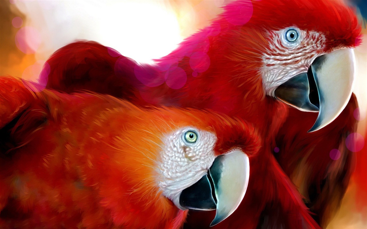 Macaw close-up HD wallpapers #28 - 1280x800