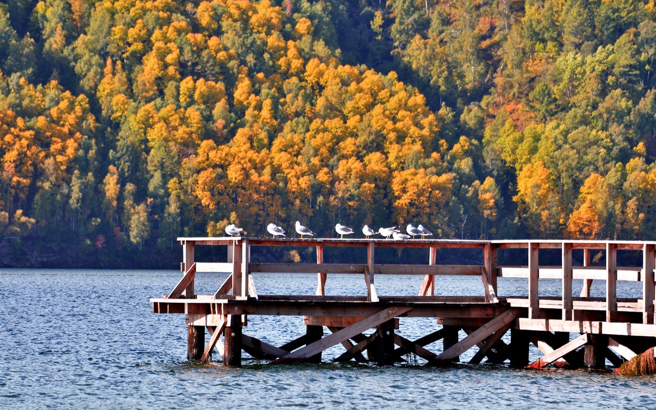 贝加尔湖 俄罗斯风景 高清壁纸7 - 1280x800