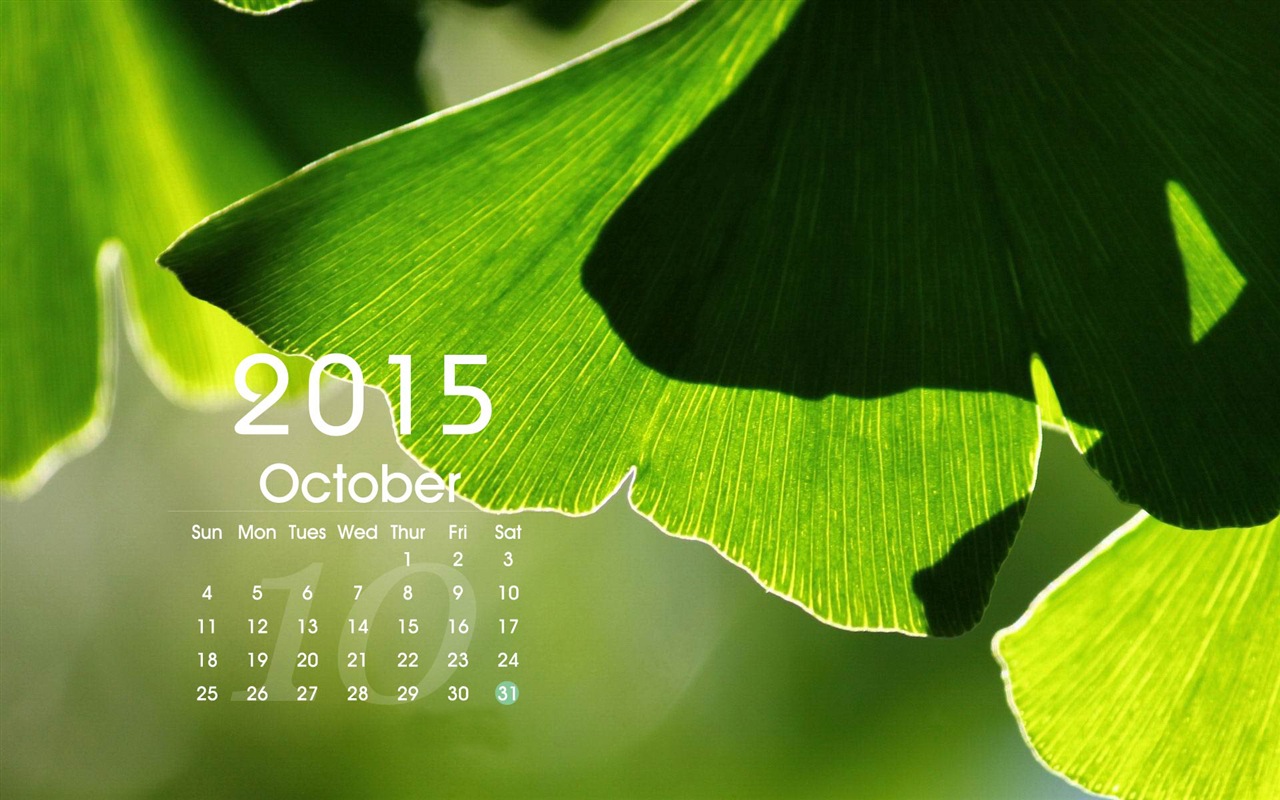 Calendar 2015 HD wallpapers #15 - 1280x800