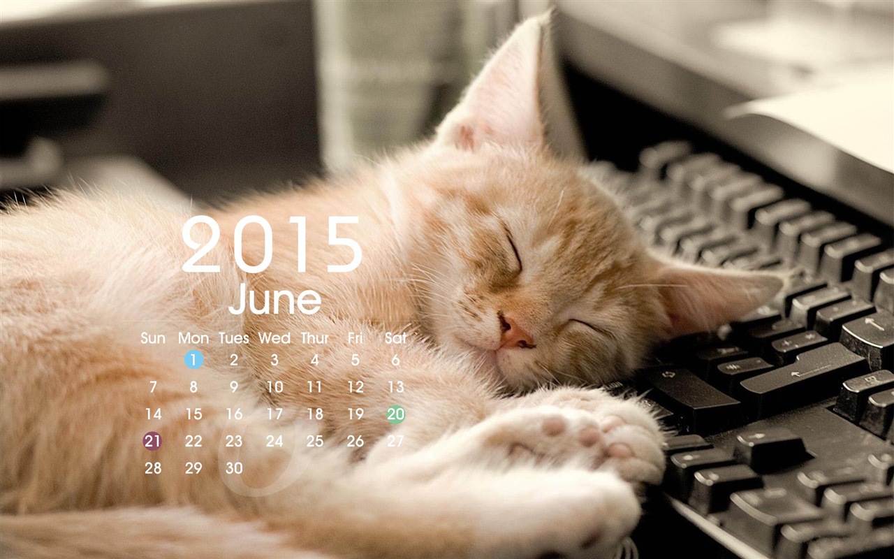 Kalendář 2015 HD tapety na plochu #19 - 1280x800