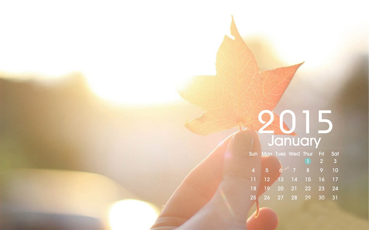2015年 年曆 高清壁紙 #23 - 1280x800
