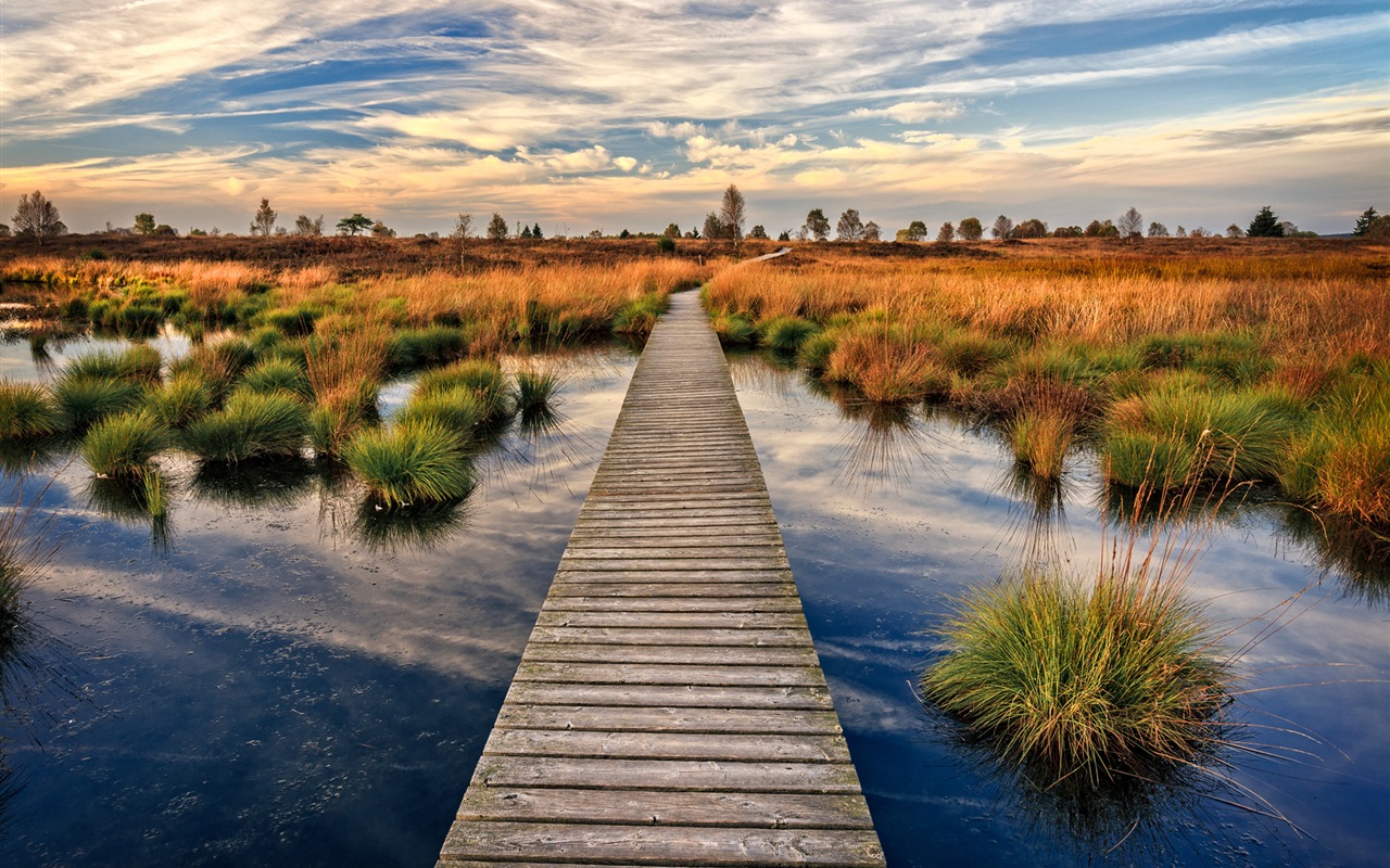 Lake a Boardwalk výhled soumraku HD tapety na plochu #1 - 1280x800