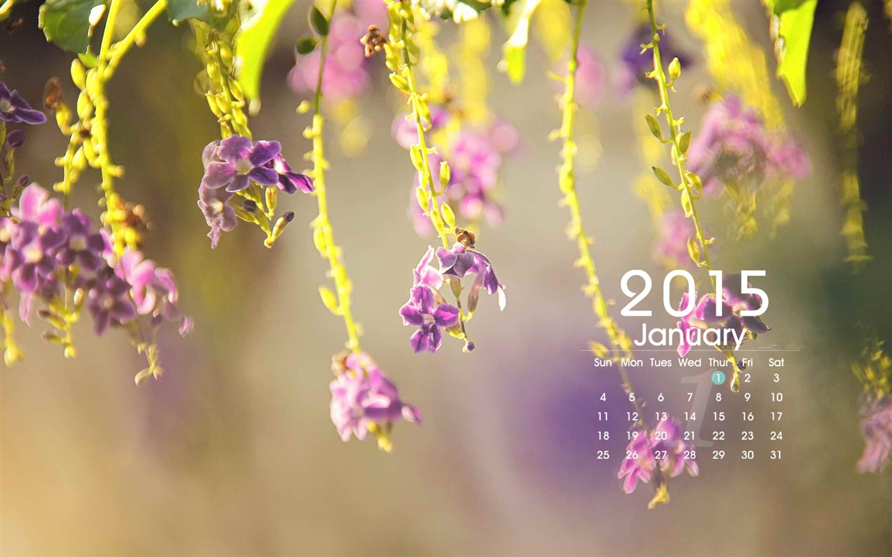 01. 2015 kalendář tapety (1) #1 - 1280x800