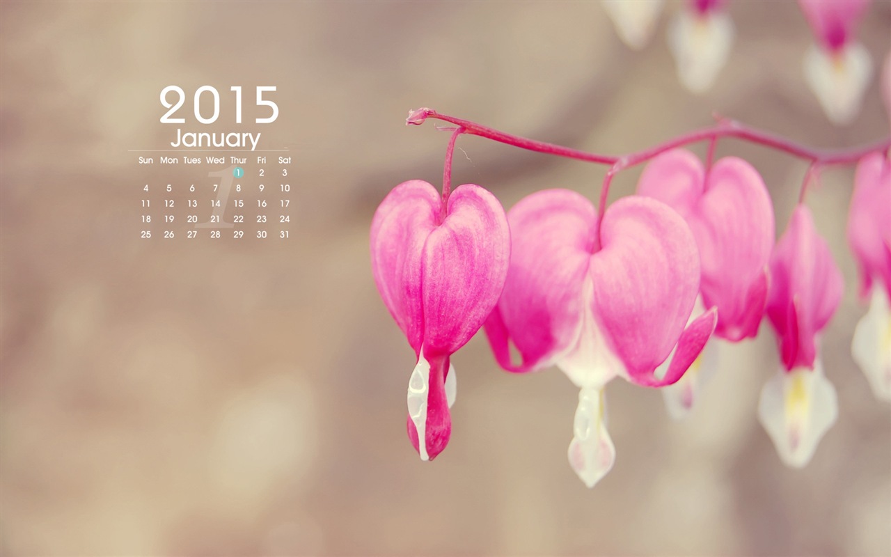 Janvier 2015 calendar fond d'écran (1) #9 - 1280x800