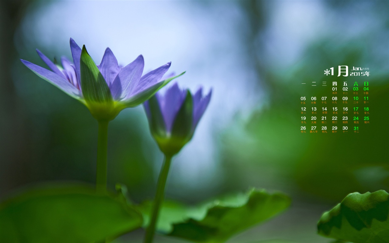 01. 2015 kalendář tapety (1) #12 - 1280x800