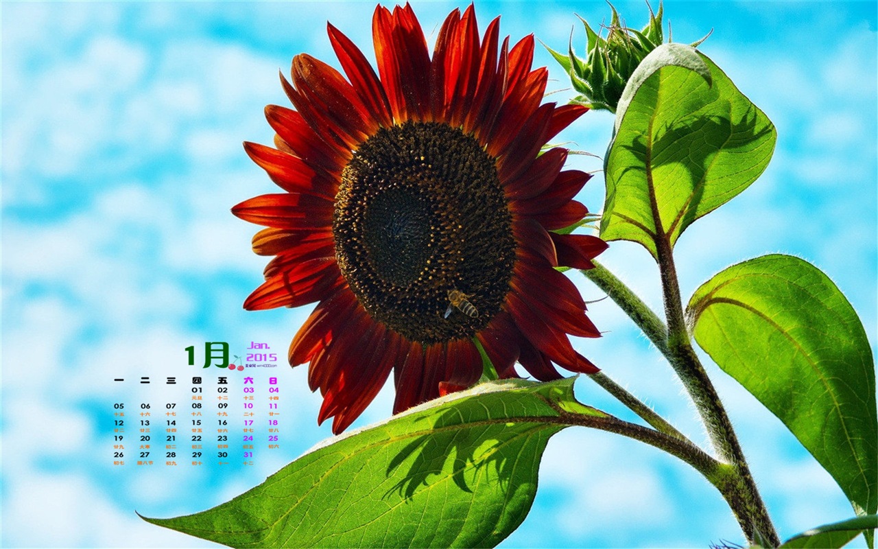 2015年1月 月曆壁紙(一) #14 - 1280x800