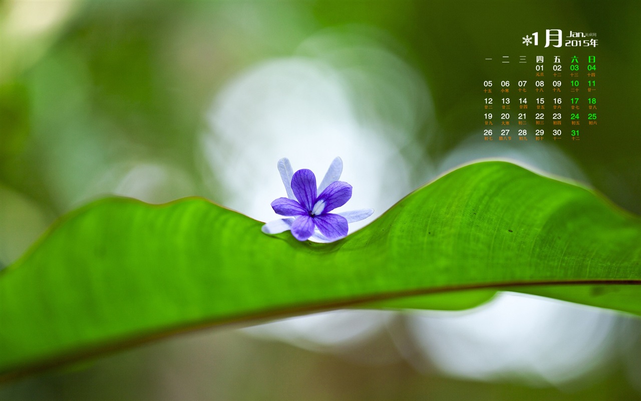 01. 2015 kalendář tapety (1) #18 - 1280x800