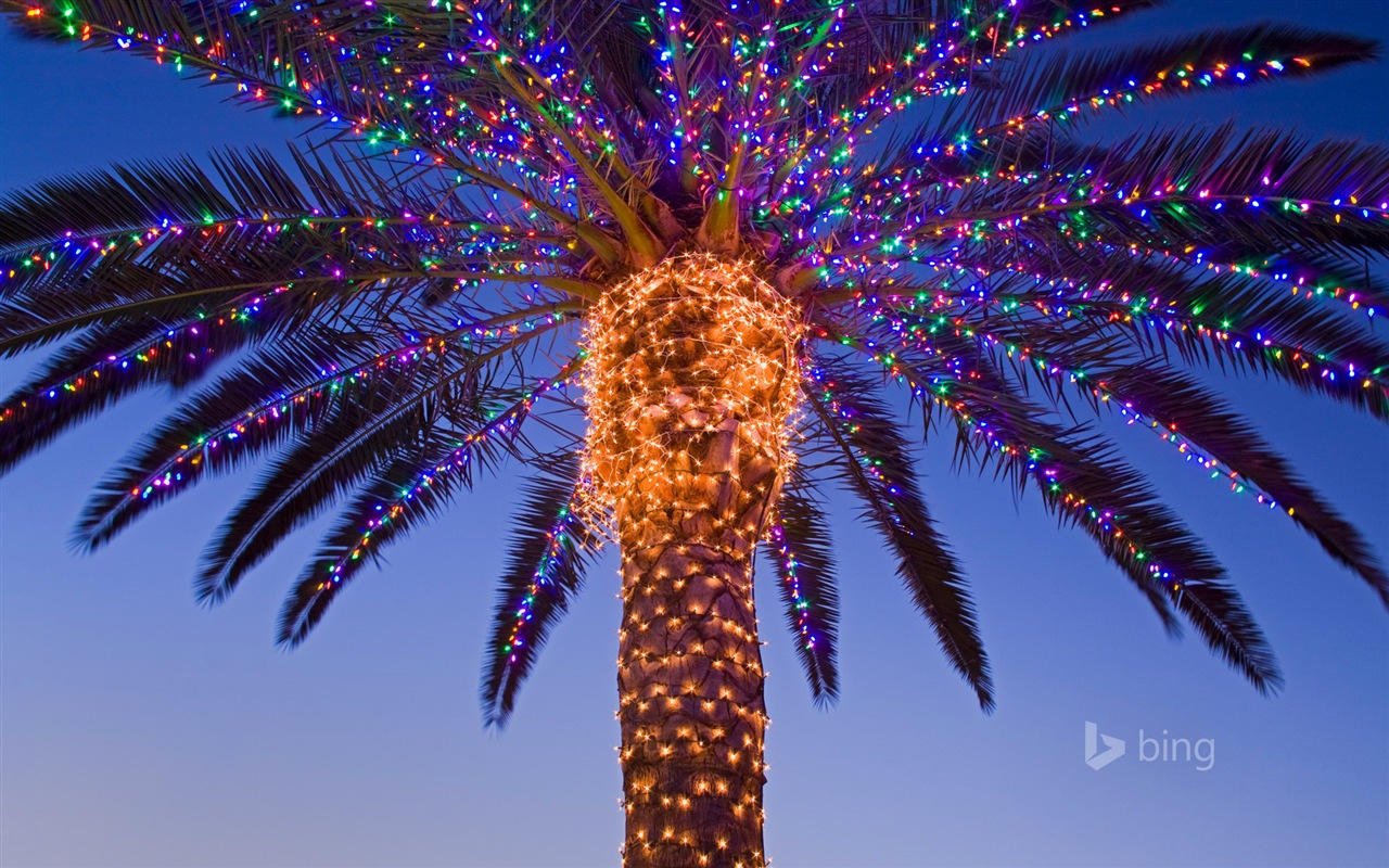 Décembre 2014 fonds d'écran HD Bing #23 - 1280x800