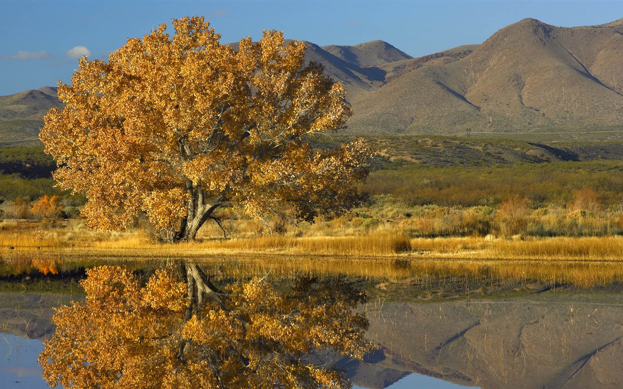 唯美养眼的自然风景 高清壁纸19 - 1280x800