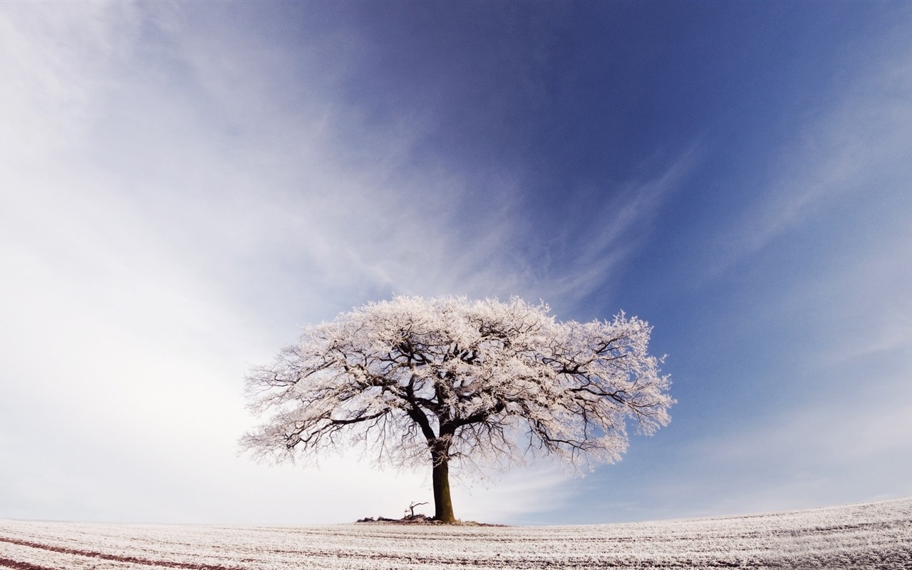 Neige d'hiver fonds d'écran HD magnifique de paysages #4 - 1280x800