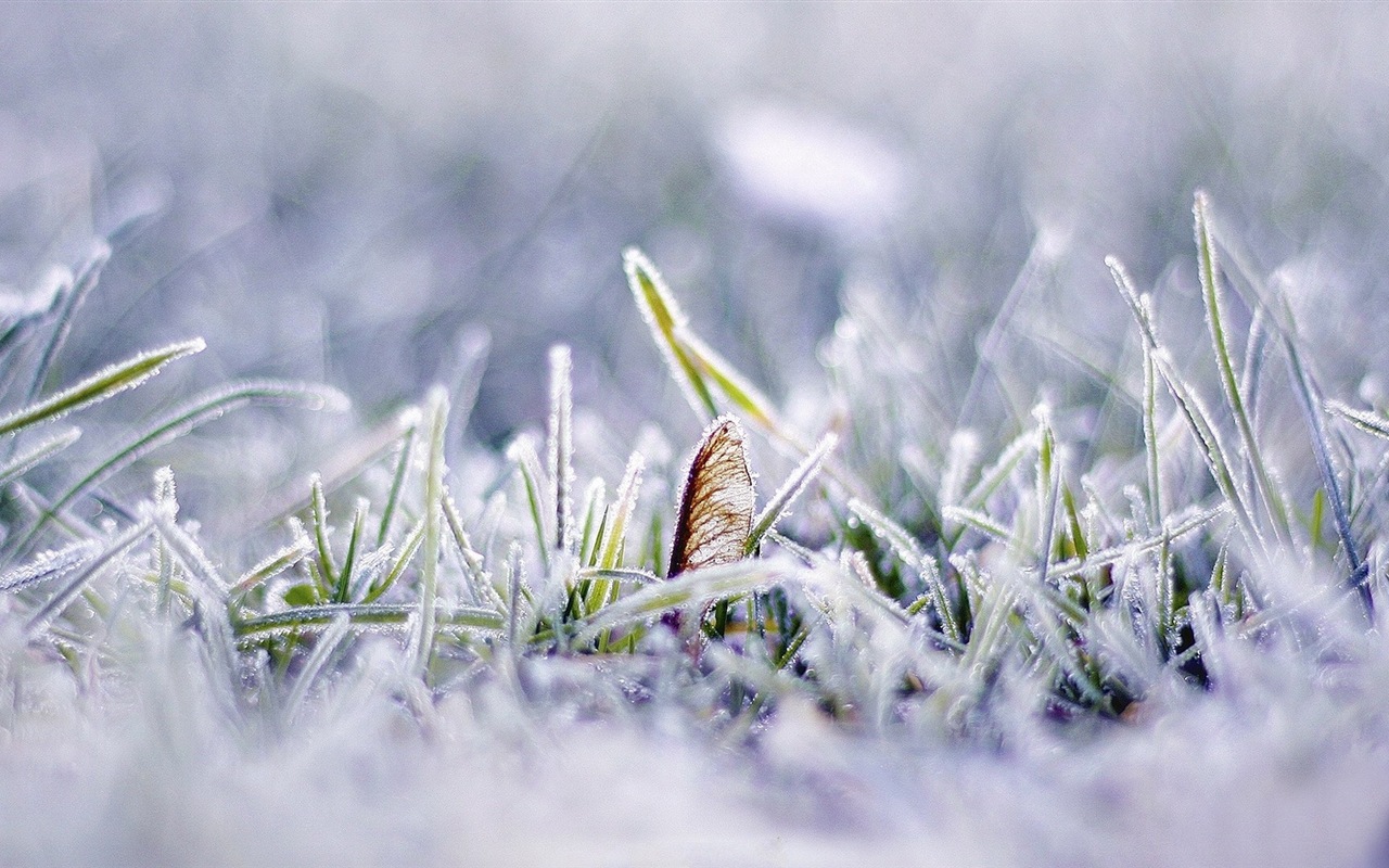 Neige d'hiver fonds d'écran HD magnifique de paysages #5 - 1280x800