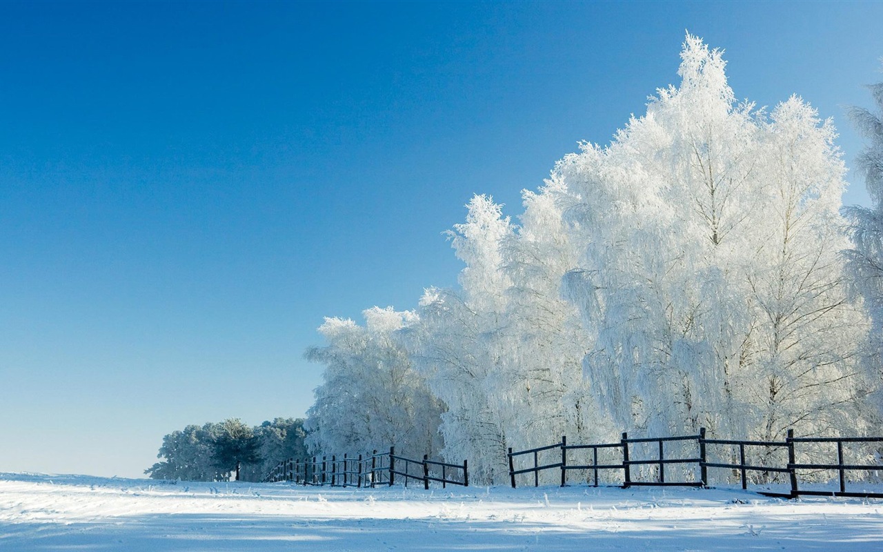 Neige d'hiver fonds d'écran HD magnifique de paysages #15 - 1280x800