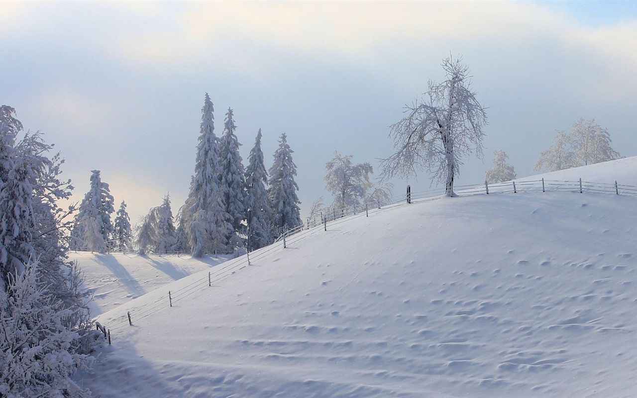 Neige d'hiver fonds d'écran HD magnifique de paysages #16 - 1280x800