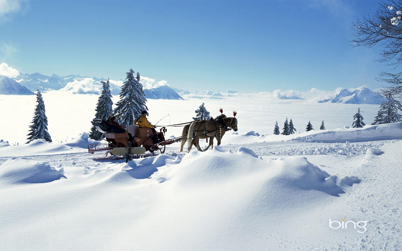 Neige d'hiver fonds d'écran HD magnifique de paysages #17 - 1280x800