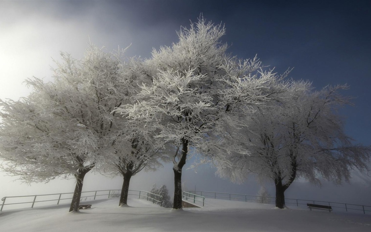 Neige d'hiver fonds d'écran HD magnifique de paysages #18 - 1280x800