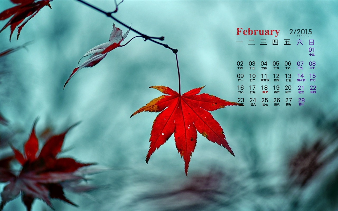 Februar 2015 Kalender Wallpaper (1) #9 - 1280x800