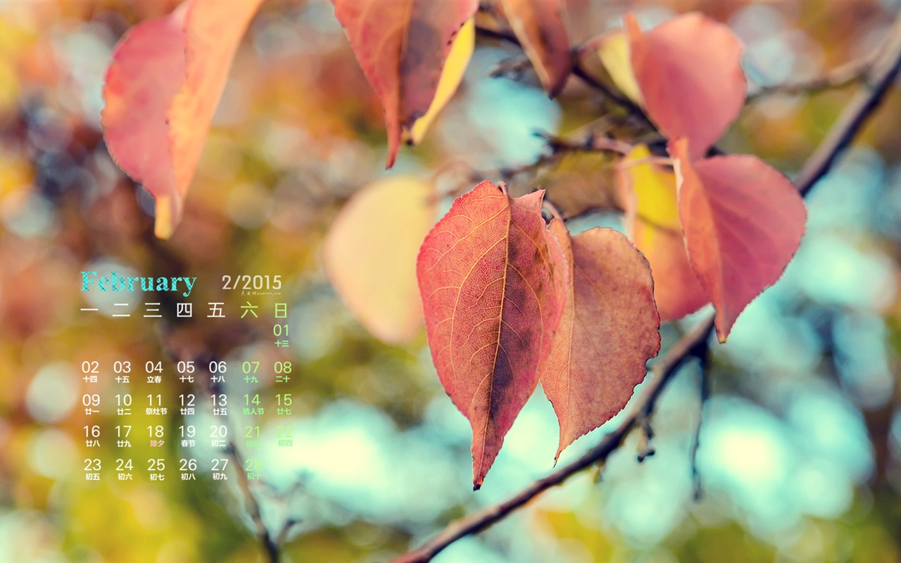 Februar 2015 Kalender Wallpaper (1) #10 - 1280x800