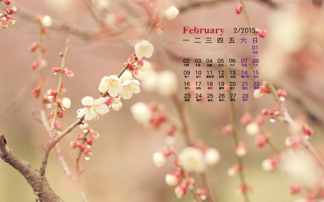 Februar 2015 Kalender Wallpaper (1) #12 - 1280x800