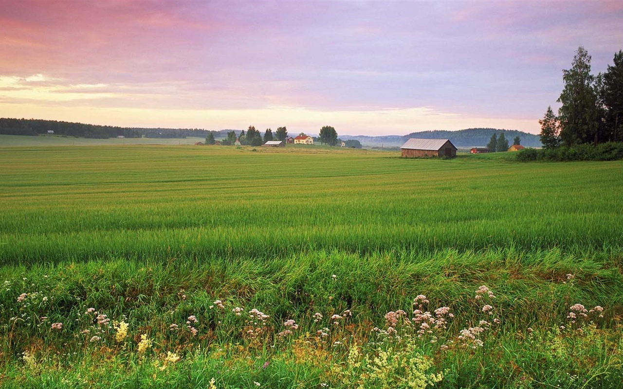 Nordic herrliche Landschaft HD Wallpaper #10 - 1280x800