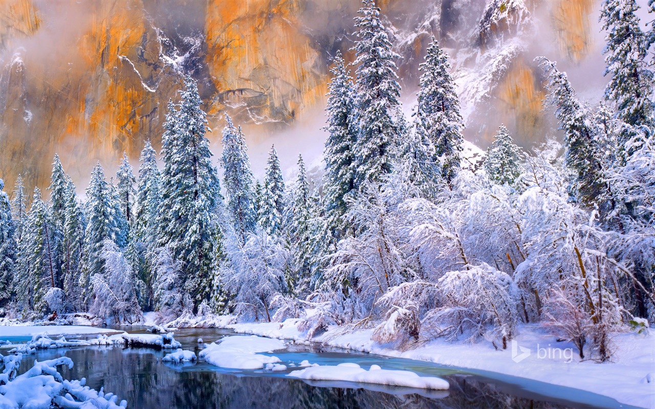 Janvier 2015 fonds d'écran HD Bing #1 - 1280x800