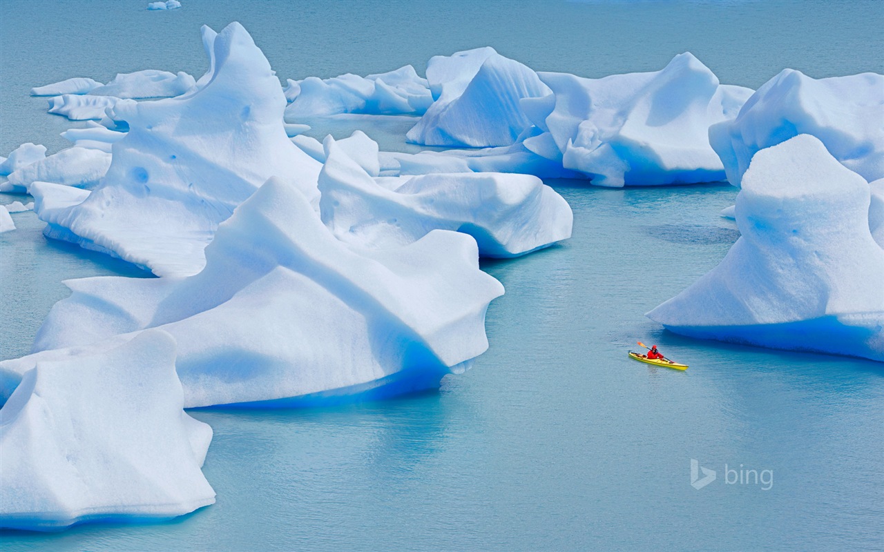 01. 2015 Bing HD tapety na plochu #7 - 1280x800