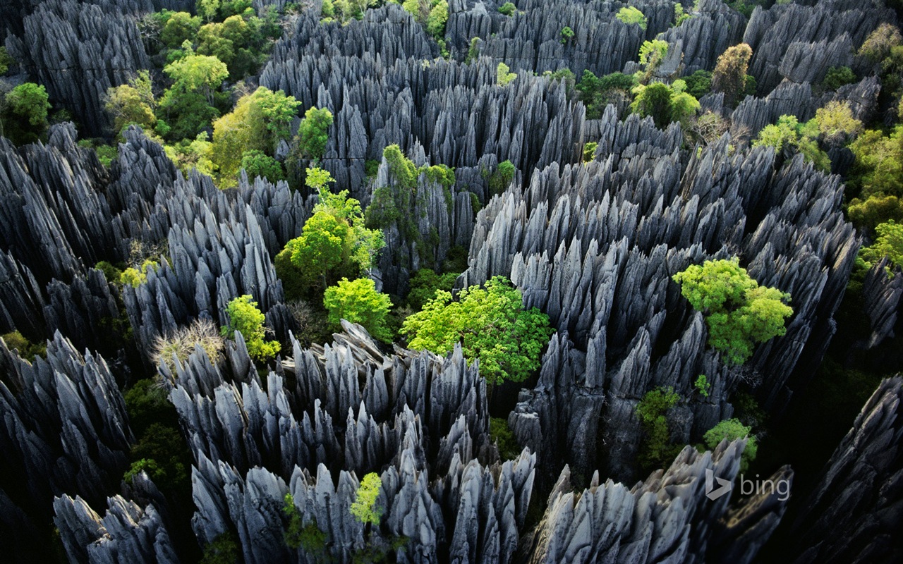 Janvier 2015 fonds d'écran HD Bing #29 - 1280x800