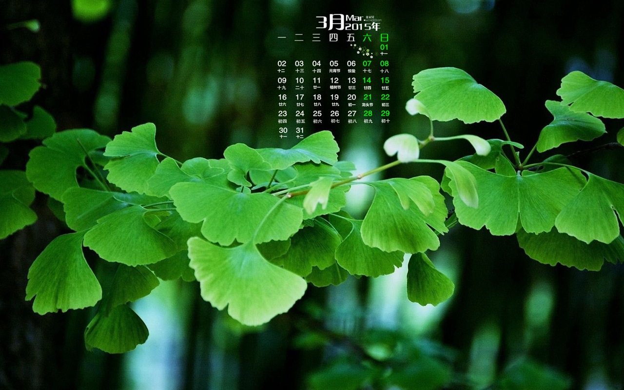 2015年3月 月曆壁紙(一) #2 - 1280x800