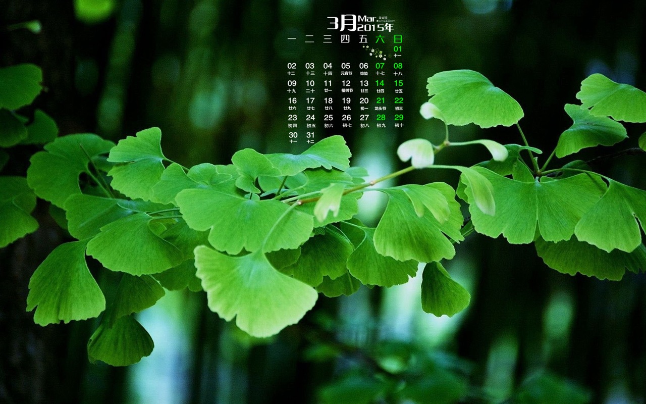 March 2015 Calendar wallpaper (1) #2 - 1280x800