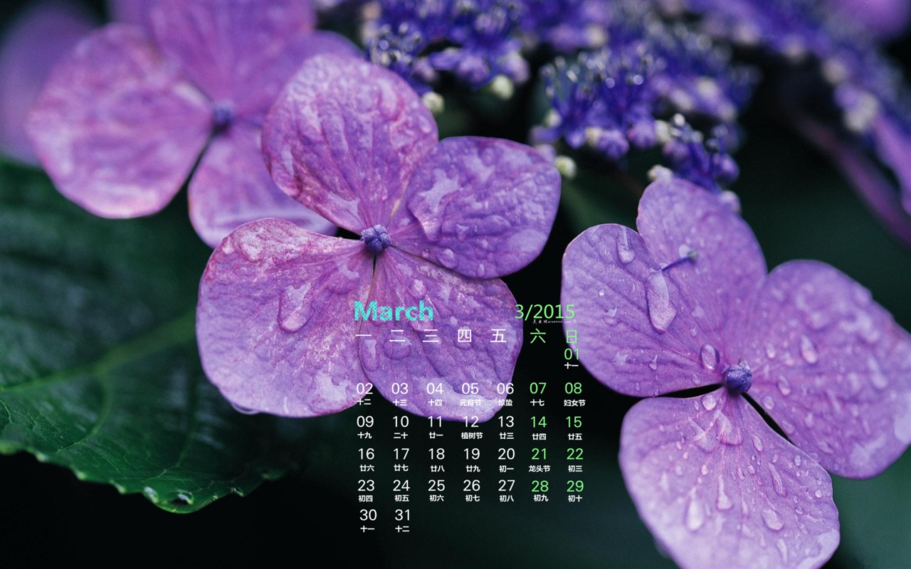 2015年3月 月曆壁紙(一) #5 - 1280x800