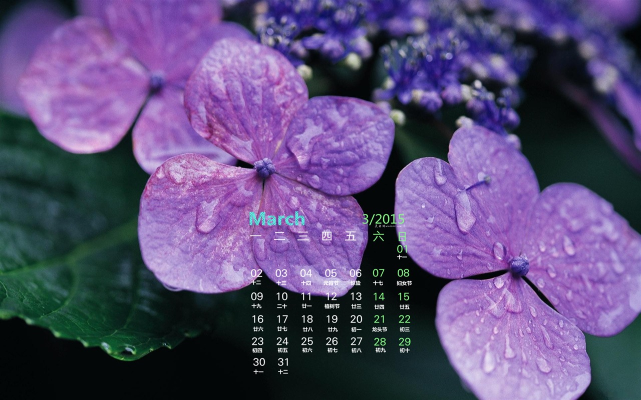 March 2015 Calendar wallpaper (1) #5 - 1280x800