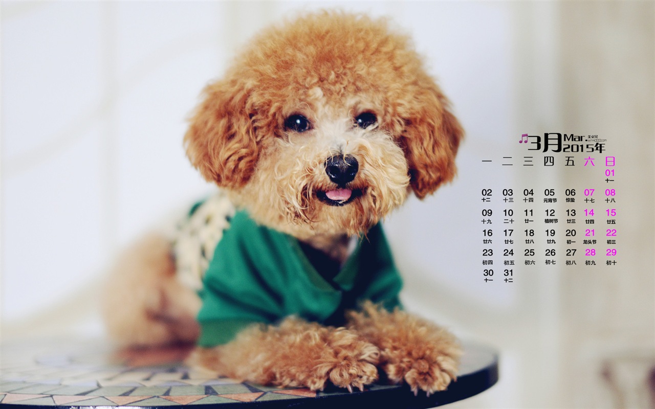 March 2015 Calendar wallpaper (1) #6 - 1280x800