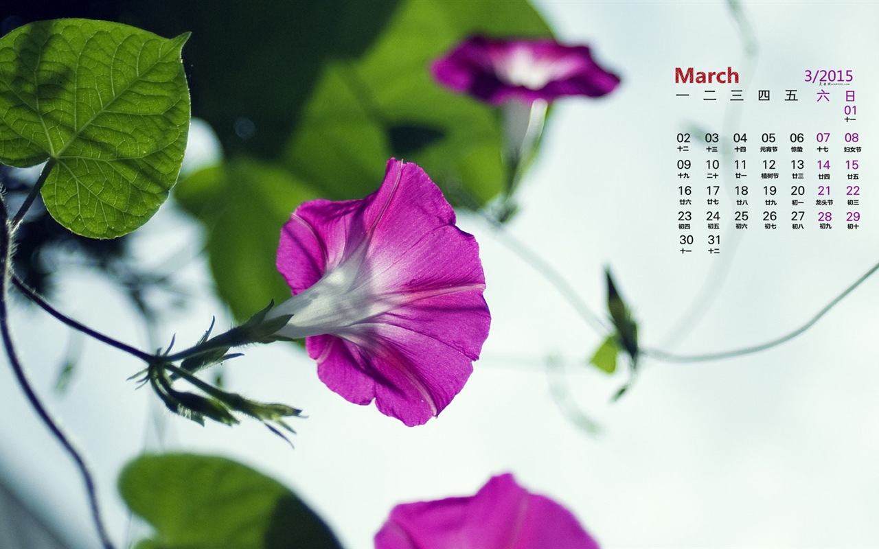 2015年3月 月曆壁紙(一) #14 - 1280x800