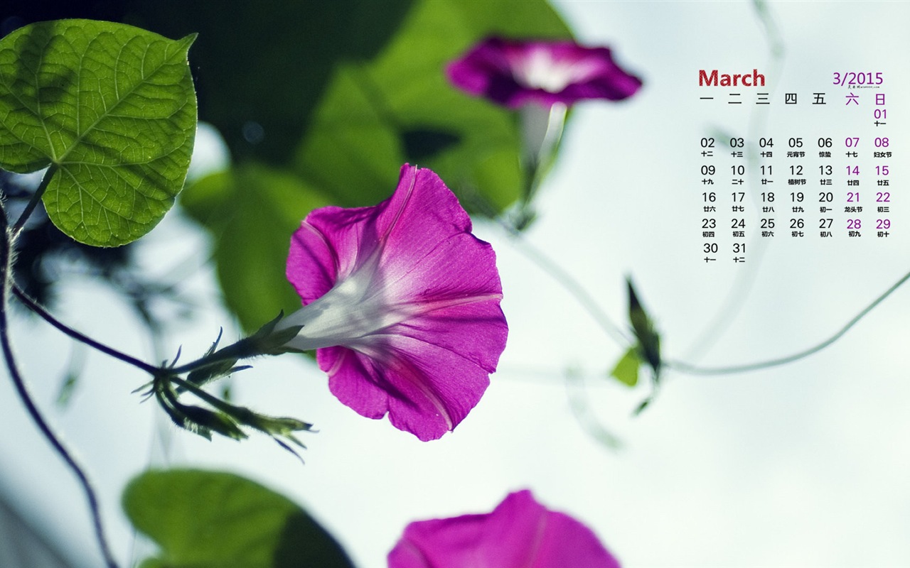 March 2015 Calendar wallpaper (1) #14 - 1280x800