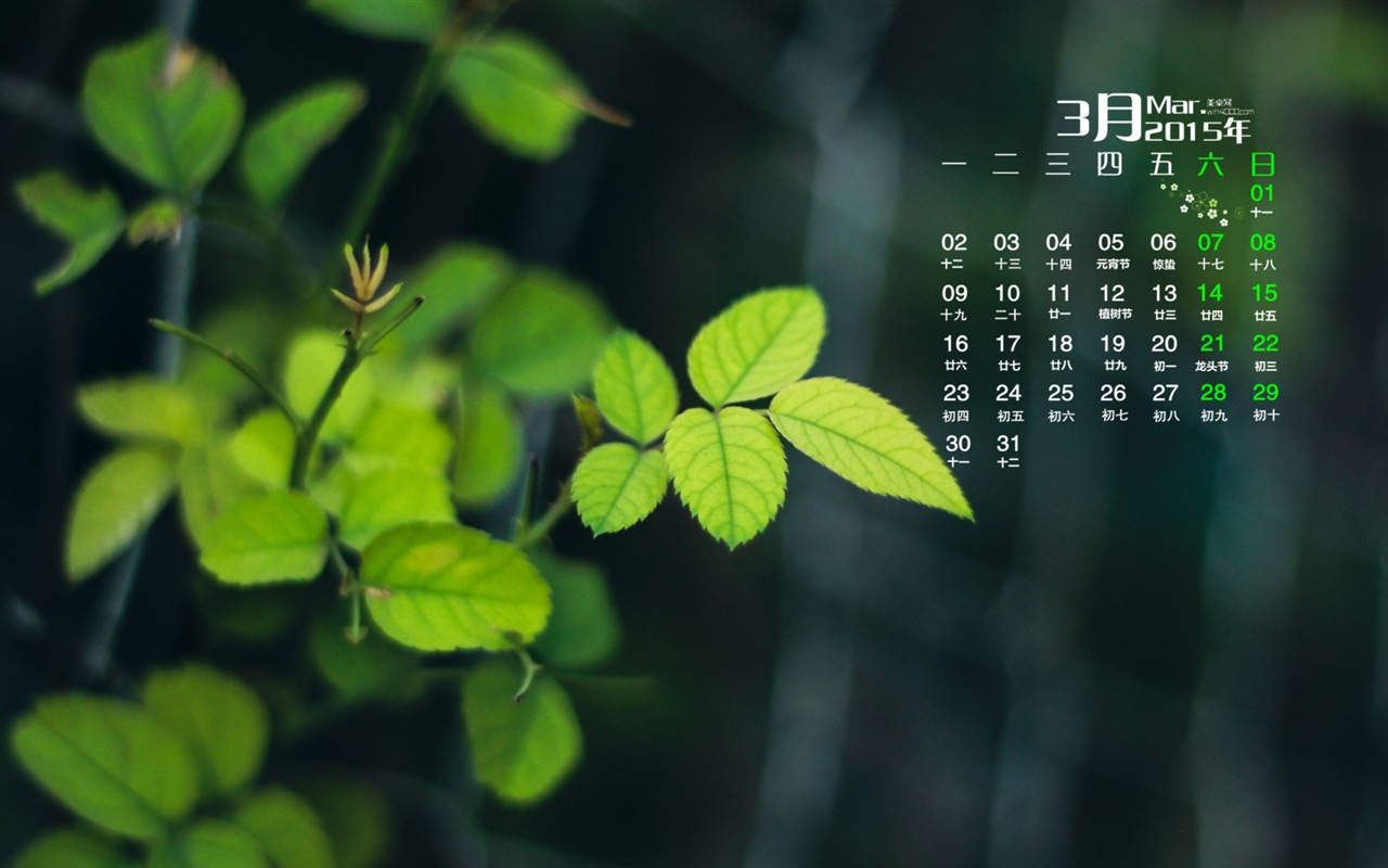 2015年3月 月曆壁紙(一) #19 - 1280x800