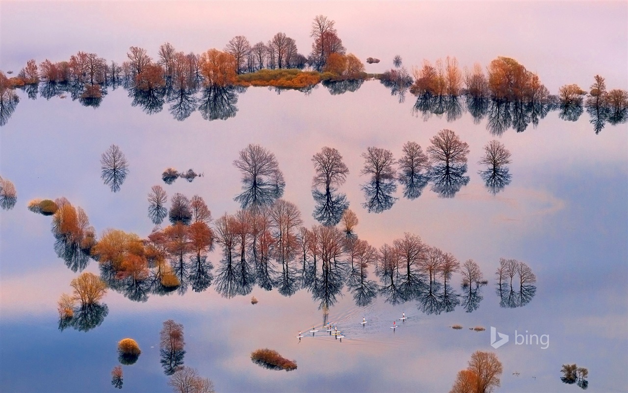 Février 2015 fonds d'écran HD Bing #15 - 1280x800