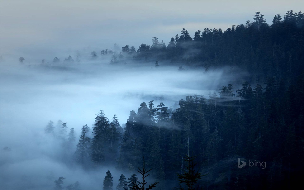 Février 2015 fonds d'écran HD Bing #22 - 1280x800