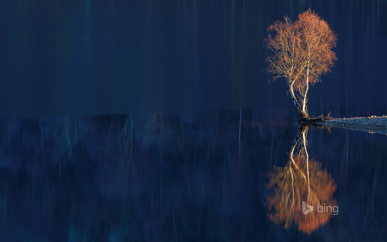 02. 2015 Bing HD tapety na plochu #25 - 1280x800