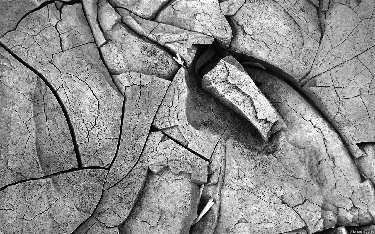 Umělecké fotografie, Windows 8 HD tapety na plochu #11 - 1280x800