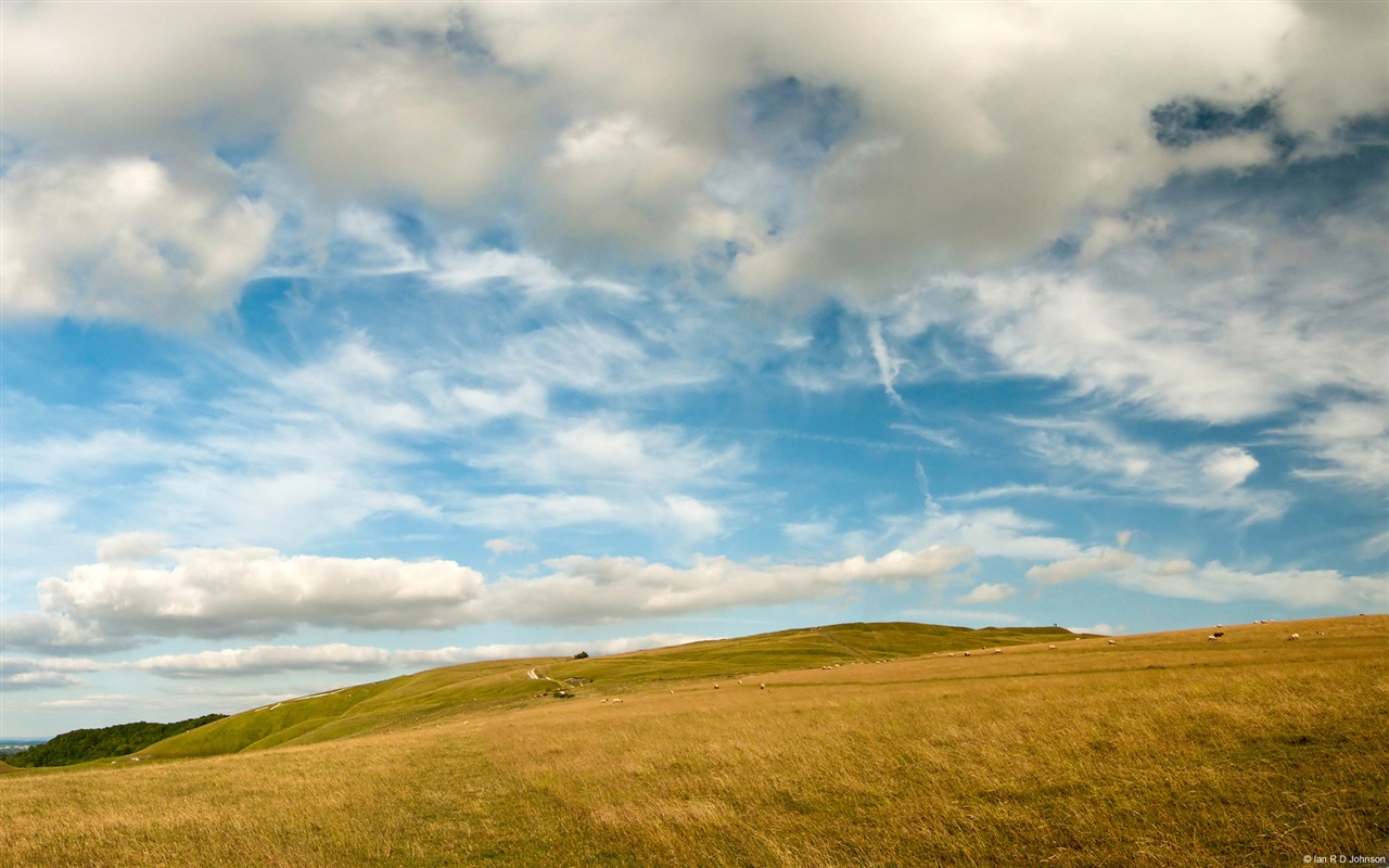 Paysage rural, Windows 8 fonds d'écran HD #5 - 1280x800