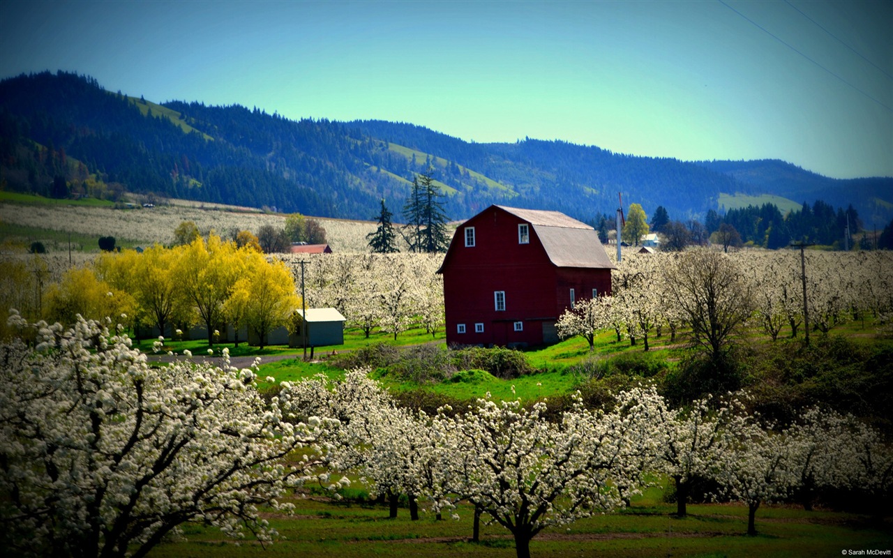 田園風景、Windows 8のHDの壁紙 #13 - 1280x800