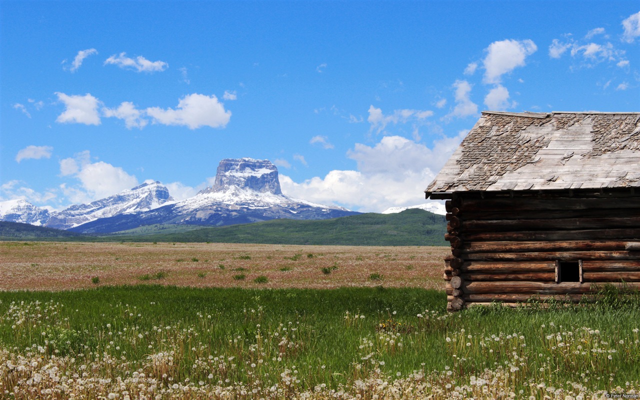 田園風景,Windows 8 高清壁紙 #18 - 1280x800