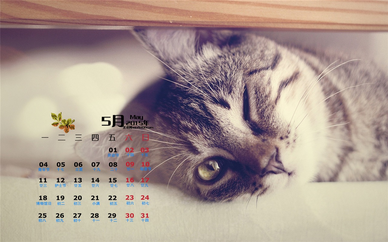 Mai 2015 Kalender Wallpaper (1) #14 - 1280x800