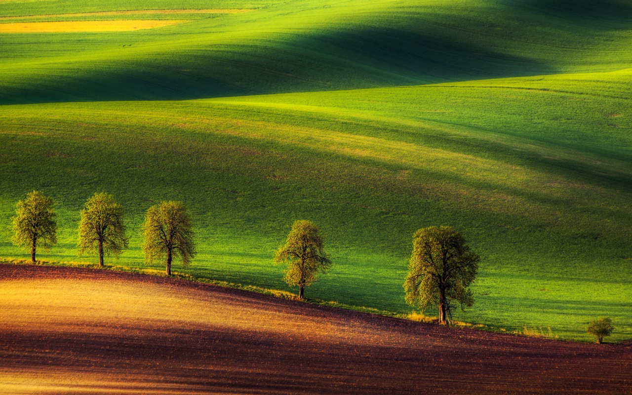 Windows 10 Náhled tapety balení (3) #8 - 1280x800