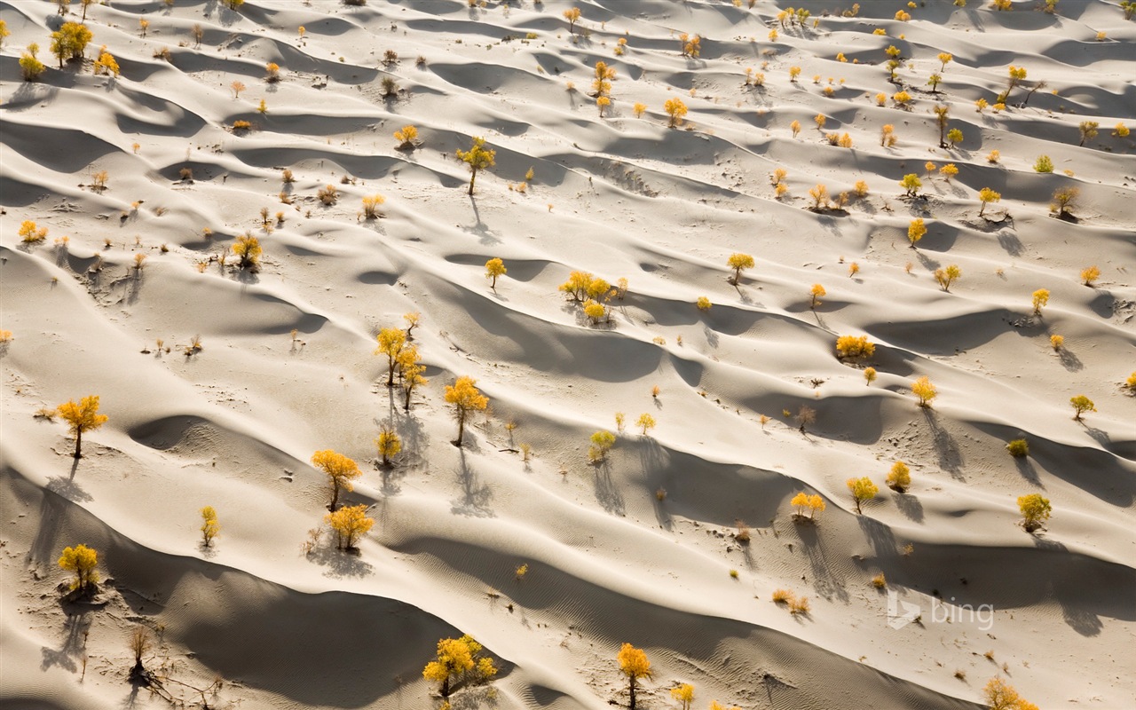 March 2015 Bing HD wallpapers #8 - 1280x800