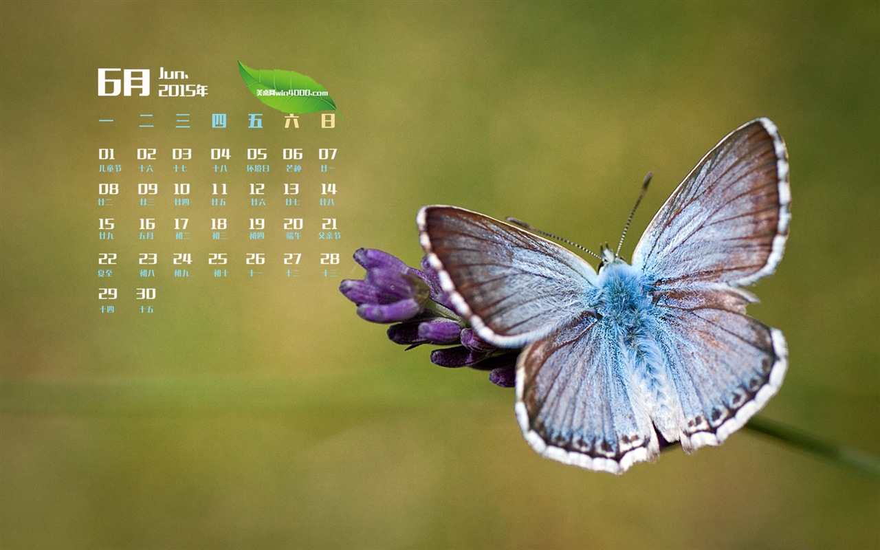 Juni 2015 Kalender Wallpaper (1) #6 - 1280x800