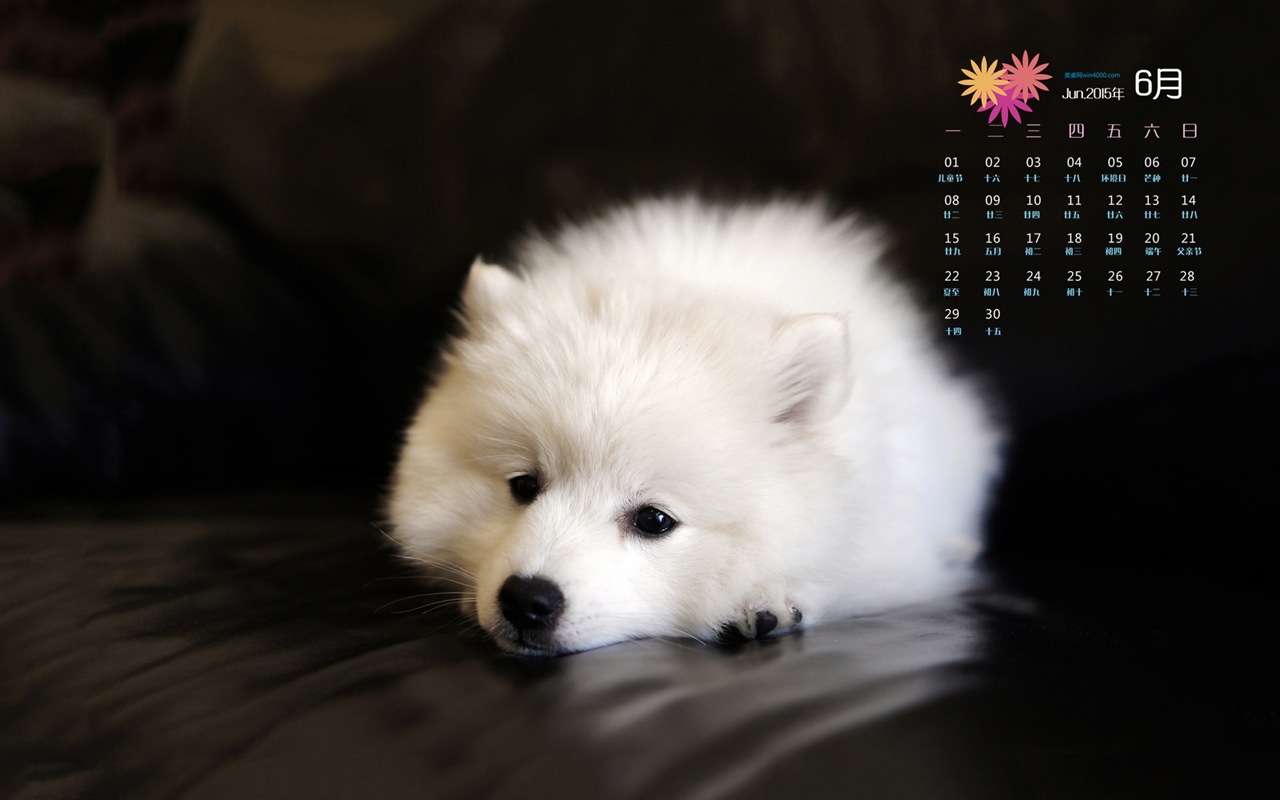 Juni 2015 Kalender Wallpaper (1) #9 - 1280x800