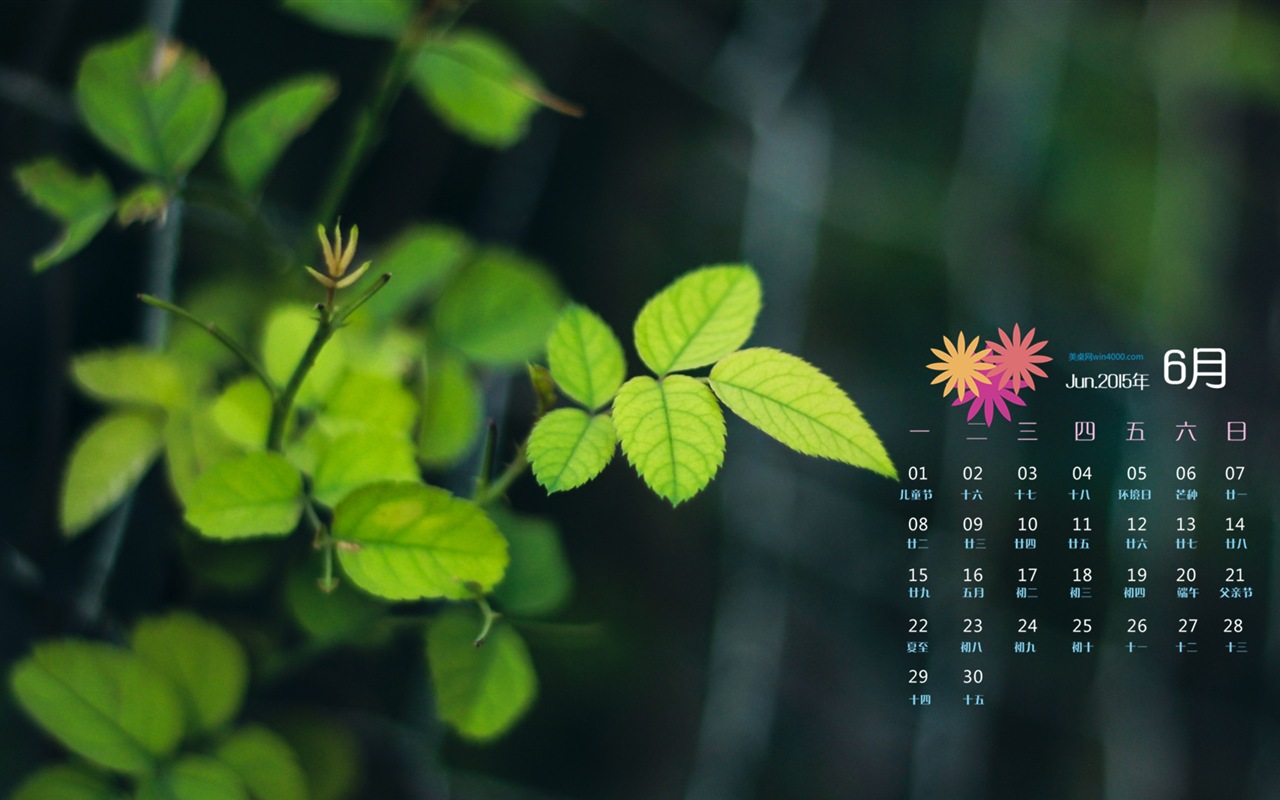 Juni 2015 Kalender Wallpaper (1) #12 - 1280x800