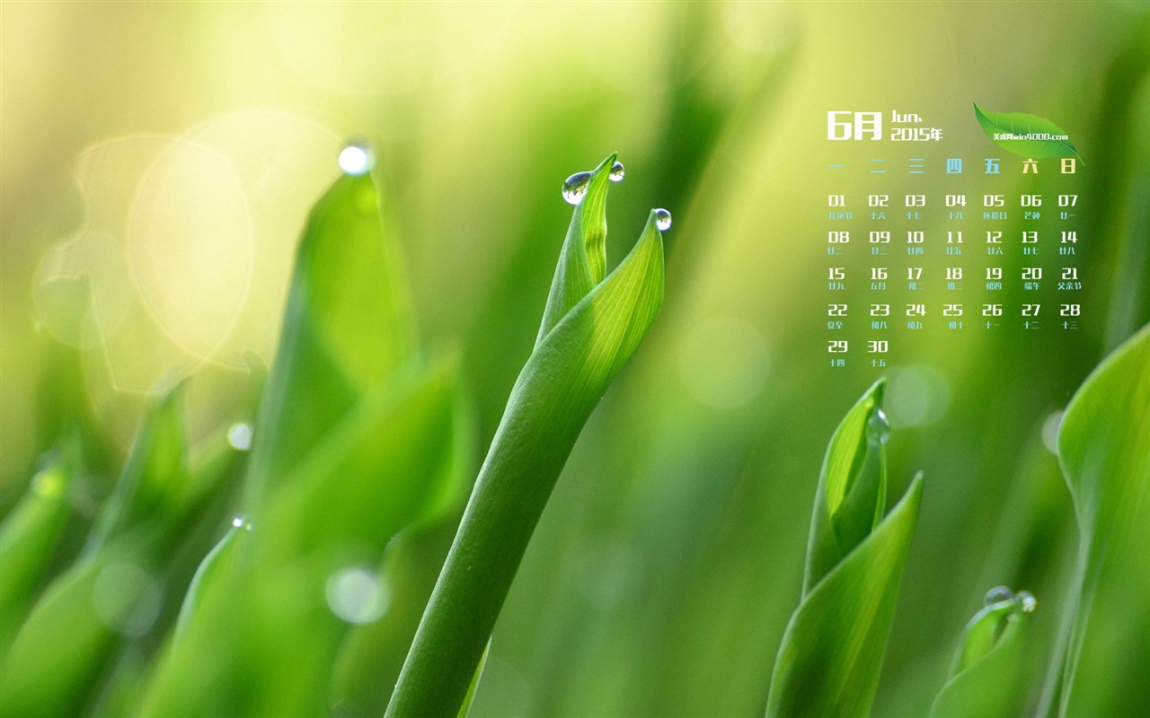 Juni 2015 Kalender Wallpaper (1) #17 - 1280x800