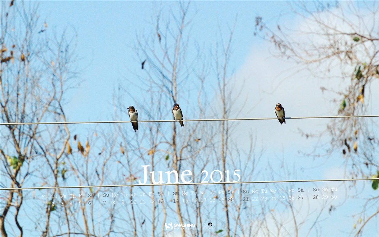 2015年6月 月曆壁紙(二) #15 - 1280x800