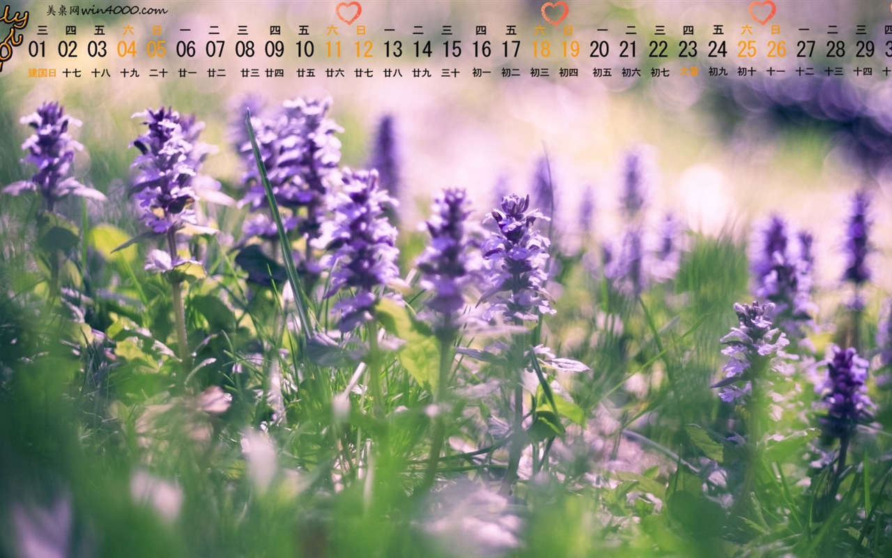 2015年7月 月曆壁紙(一) #12 - 1280x800